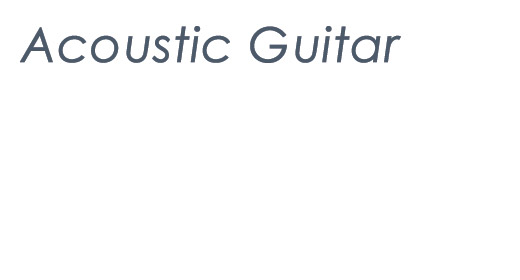 Acoustic Guitar