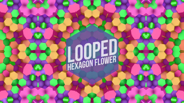 Colorful Hexagons Flower Loop