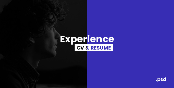 Experience - CVResume - ThemeForest 19352345