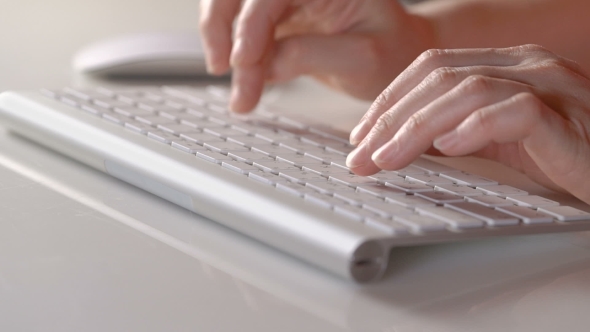 Female Hands Typing on the Computer Keyboard.