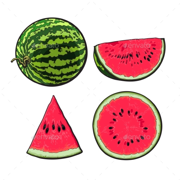 Whole, Half, Quarter and Slice of Ripe Watermelon - Food Objects