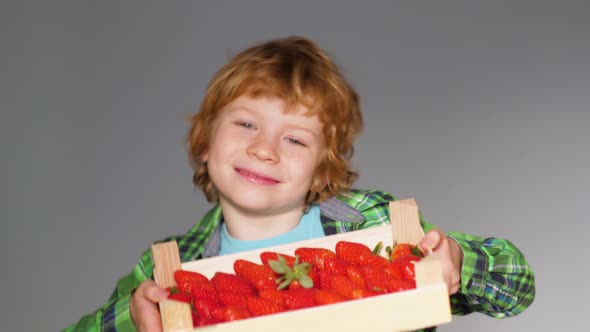 Blonde boy is happy about delicious strawberries from the farmers market.