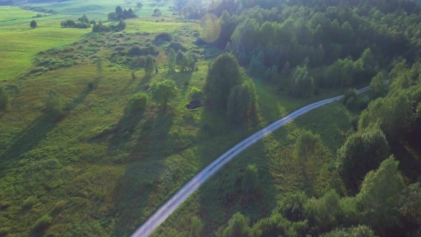 Flying Above Green Forest at Summer Time