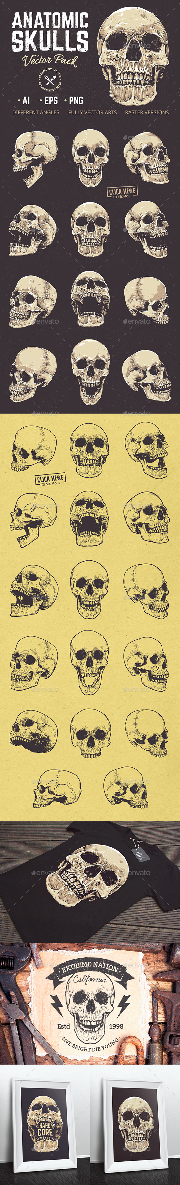 Anatomic Skulls | Vector Pack - Miscellaneous Vectors