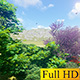 Summer Landscape With Blossoming Trees Summer Landscape With Blossoming Trees - VideoHive Item for Sale