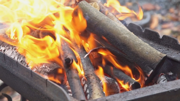 Burning Wood and Coal in Fire Wood for Barbecue Charcoal alt