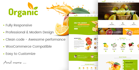 AmyOrganic - Organic and Healthy Theme for WordPress - WooCommerce eCommerce