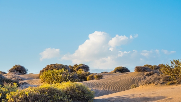 Bushes of Grass on the Sand. Clouds Run Across the Sky alt