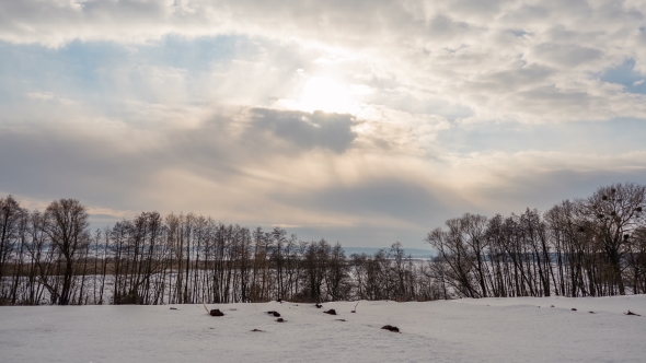 Winter Landscape,  of Flying Clouds Above Trees. . alt