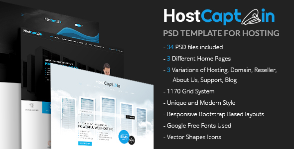 HostCaptain – Hosting and Business PSD Template - Hosting Technology