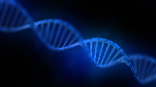 Blue DNA alt