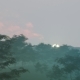 Forest in the Mist at Sunset - VideoHive Item for Sale
