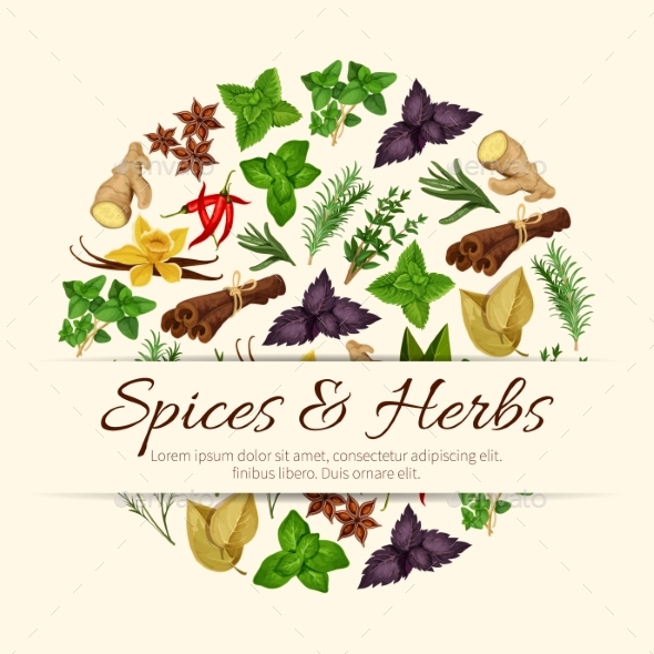 Spices and Herbs Vector Poster - Food Objects
