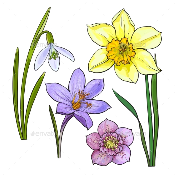 Set of Summer Flowers - Flowers & Plants Nature
