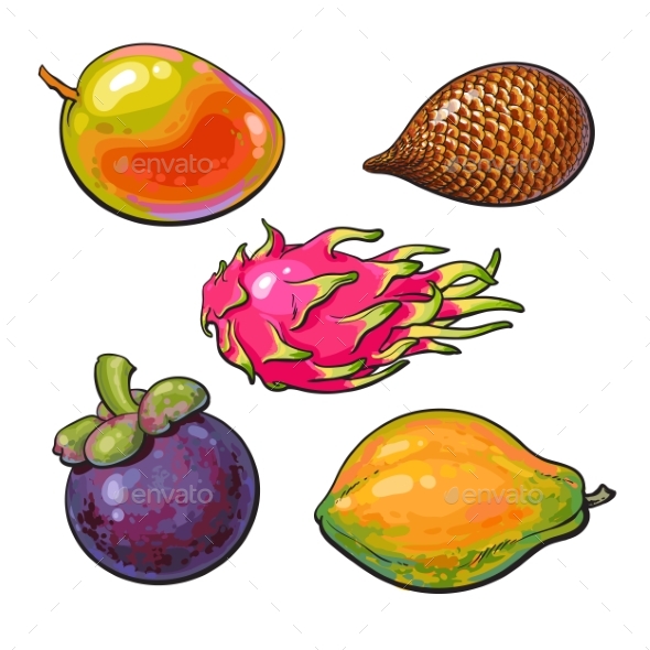 Whole Unpeeled Uncut Mango Papaya and Mangosteen - Food Objects