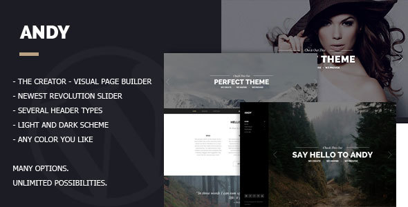 Andy - MultiOne-Page - ThemeForest 12788944