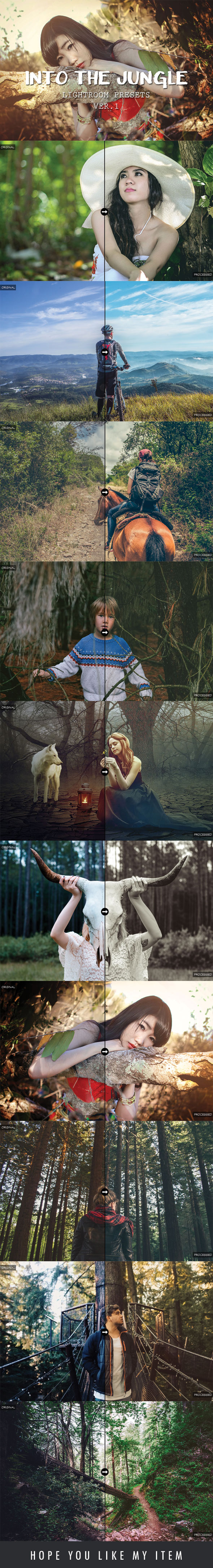 Into The Jungle Lightroom Presets - Add-ons