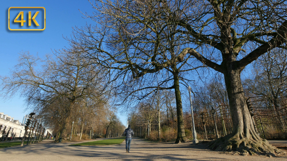 Walking Along the Park in Winter alt