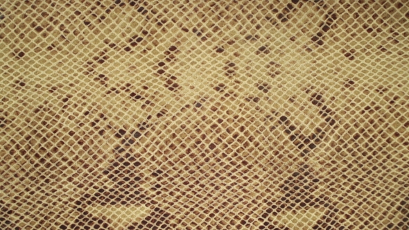 Texture Genuine Leather , Embossed Under Skin Sand Python, Background ...