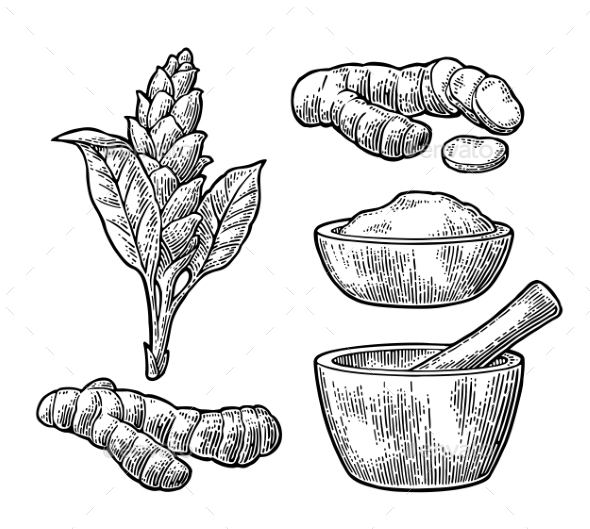 Turmeric Root Powder and Flower with Pestle - Flowers & Plants Nature