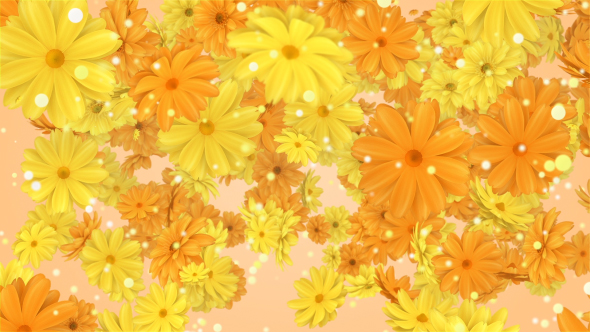 Flowers alt