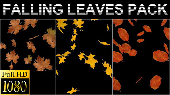 Falling Leaves - Pack - Alpha - 18 Clips