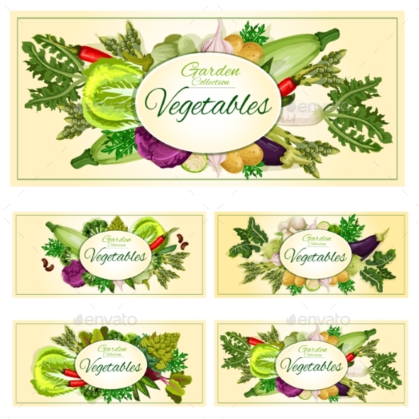 Vegetables, Greens, Veggies Vegetarian Banners Set - Food Objects