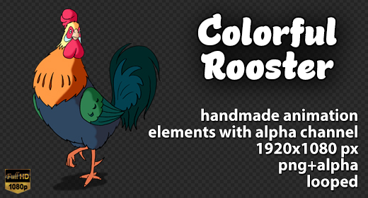 Colorful Rooster