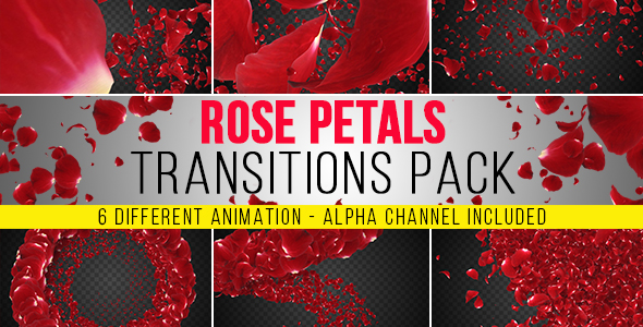 6 Rose Petals Transition Pack