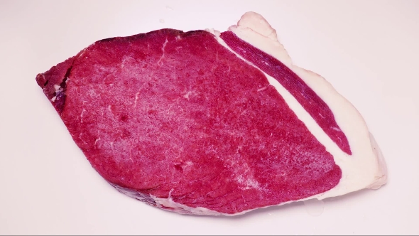 Frozen Piece of Meat