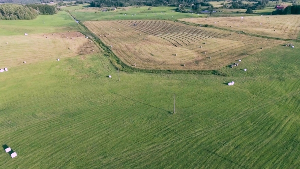 Green Meadows Aerial View