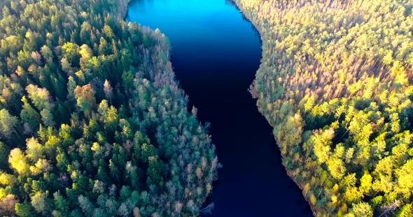 Flying Above Autumn Forest and Lake