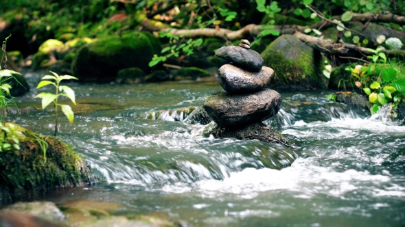 Beautiful Cold Fresh River Landscape