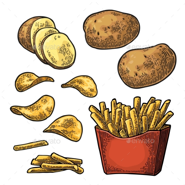 French Fry Stick Potato in Paper Box and Chips - Food Objects