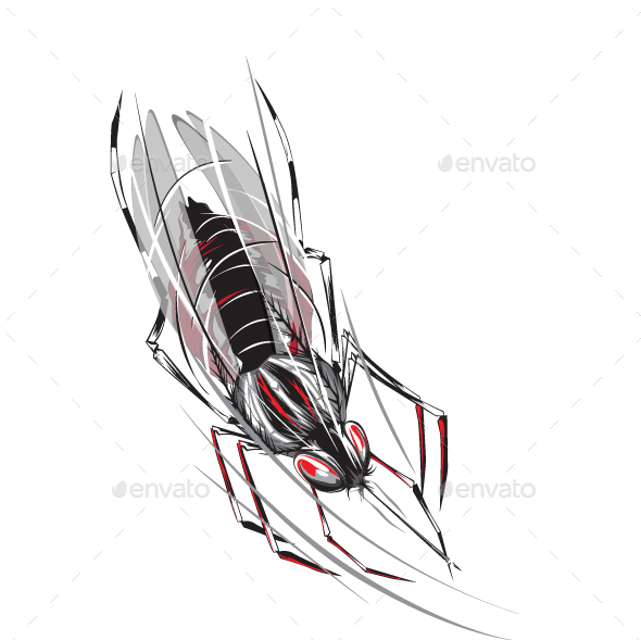 Mosquito by febryangraves - GraphicRiver Mosquito - 웹