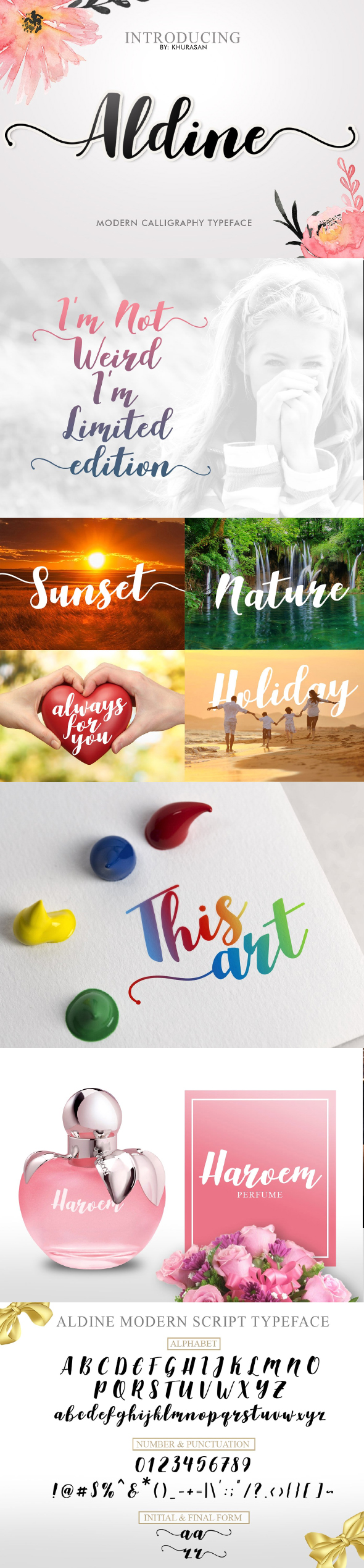 Aldine Script - Script Fonts