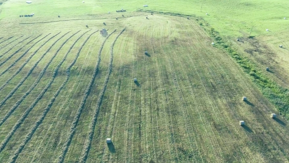 Green Meadows Aerial View