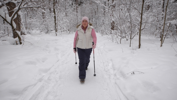 The Elderly Woman Spends the Leisure-time in the Wood. Winter Forest. The  Supports the Level of Th alt