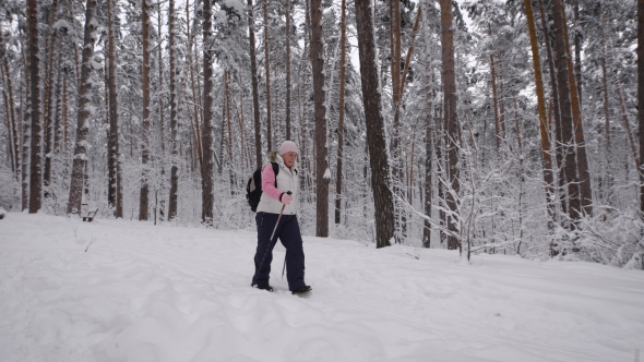 The Woman Aged with a Black Backpack on Shoulders Goes   Footpath of the Winter Forest. The Elderly alt