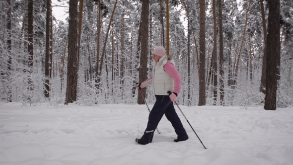 The Pensioner in the Wood Walks on a Footpath Along Trees. The Elderly Woman Goes  Fast Scandinavia alt