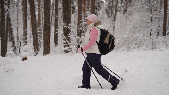 Side View of Active Woman Doing Nordic Walking with Ski Poles in Winter ...