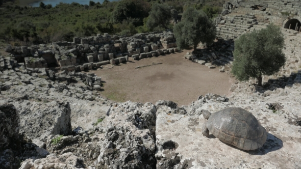 View From the Top of Roman Amphitheater Looking Down Towards Stage with Turtle, Ancient City of