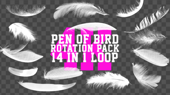 4K Rotation Feather Pack 14 in 1