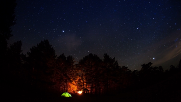 Tourist Camp in the Forest Under a Starry Sky alt