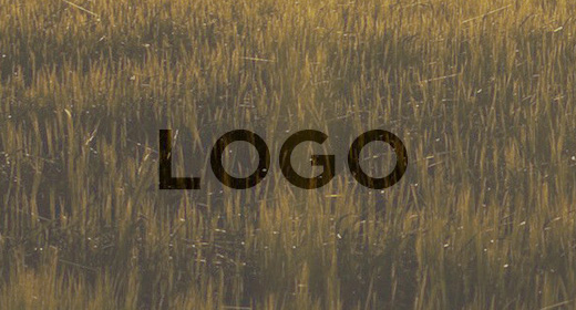 Logos & Idents