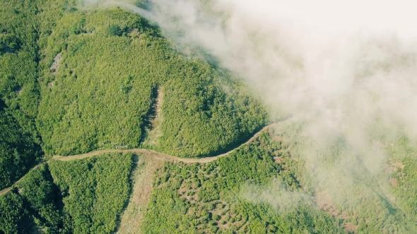 Aerial View of the Mountain Evergreen Forest