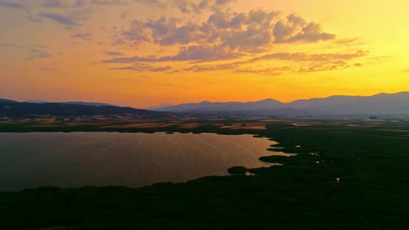 Birds in the Sky at Sunset alt