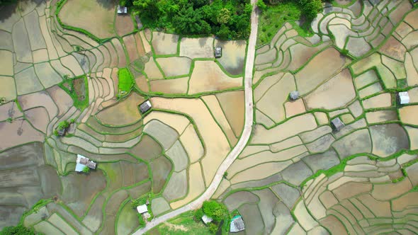 Drone flying over rice terraces field in countryside alt