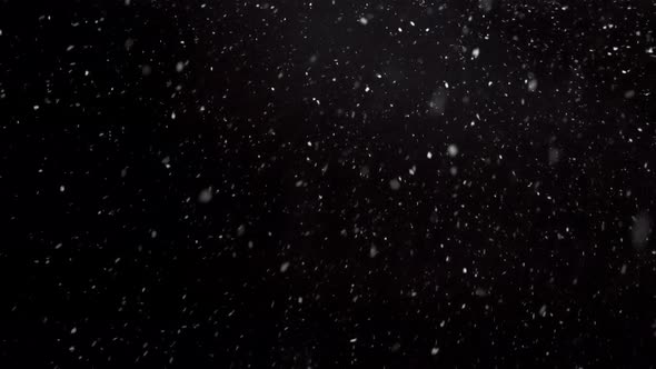Snowing in Cold Winter, Real Snow on Black Background alt
