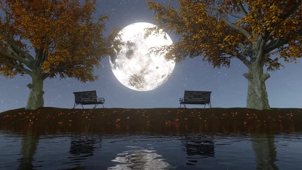 Moonlight Landscape